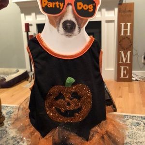 Party DOG costume-  Pumpkin dress.                 Size: SMALL.  New with tags